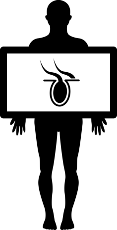 Male Silhouette With Body Organ In X Ray View Outline Svg File, Free Vectors File